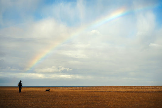 somewhere-over-the-rainbow-bridge-professor-akira