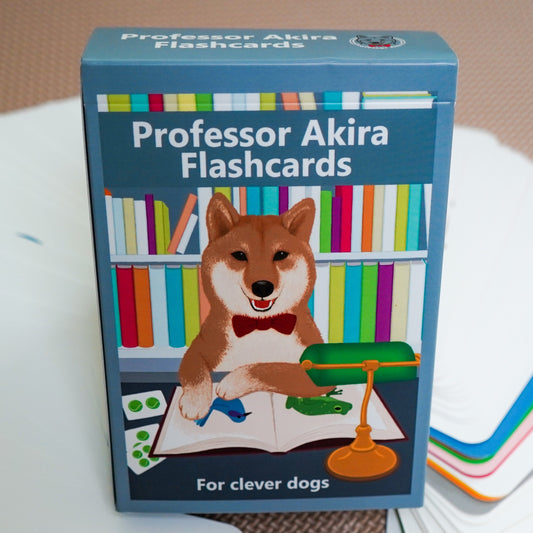 Professor Akira Flashcards