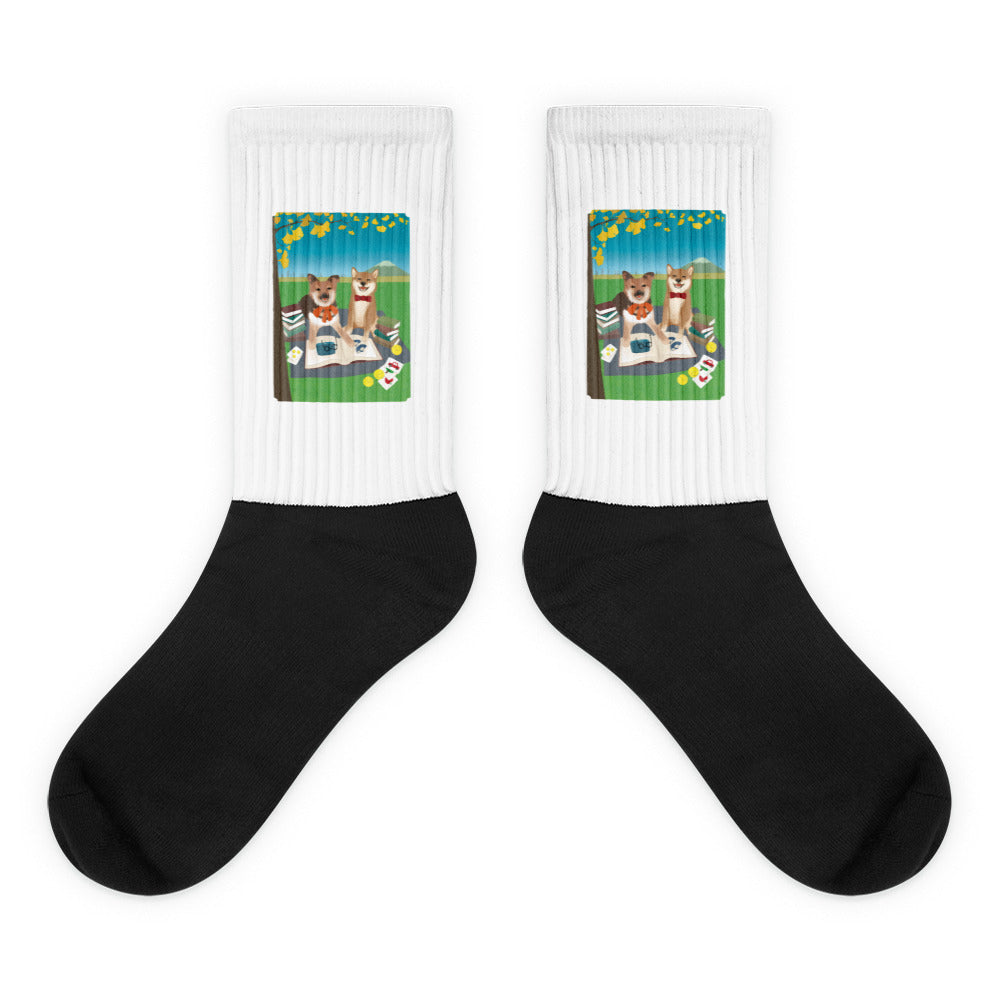 Socks (Akira & Miko)