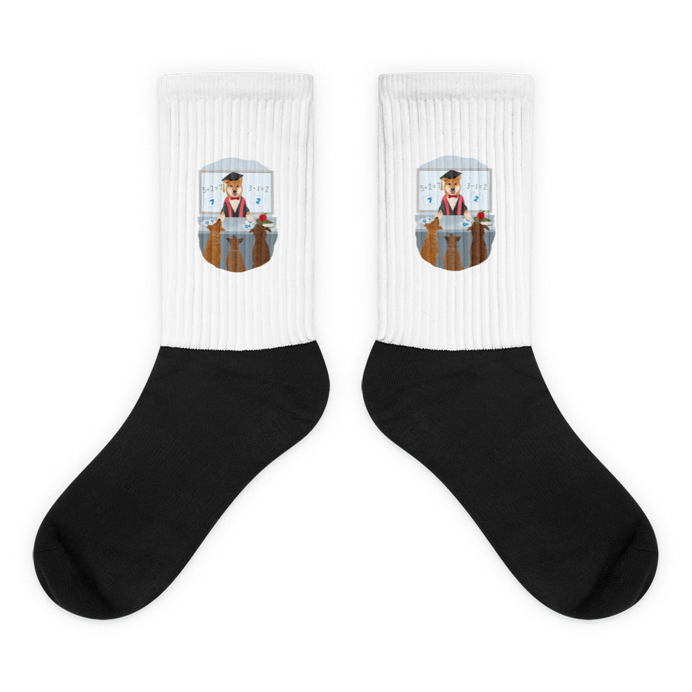 Socks (Academic)