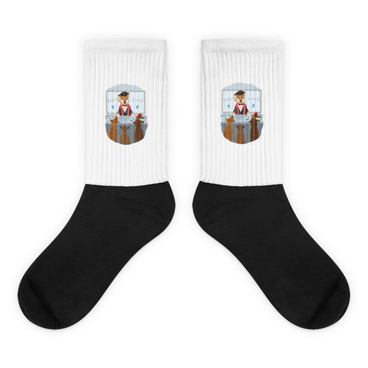Socks (Academic)